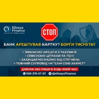 Допомога з боргами по Кредитах. Арештах. Виконавчі. Суд