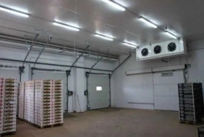 Холодильна камера Тривалого зберігання яєць (встановлення під ключ)