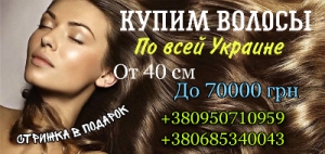 Купим волосы. Скупка волос. Покупаем волосы