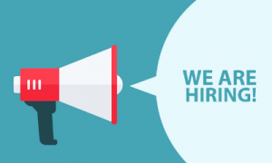 Online English and Math Teacher Vacancies - Ukraine
