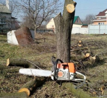 Професійні послуги зі спилювання дерев будь-якої складності