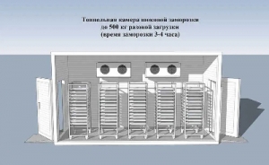 Шокова заморозка ( Установка піл ключ) Хлібо булочних виробів
