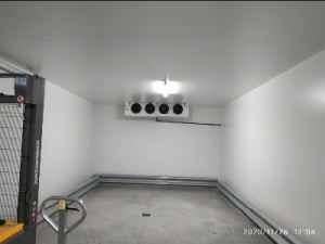 Шоковая заморозка,низькотемпературні камери для переробки фруктів