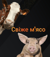Свіже м