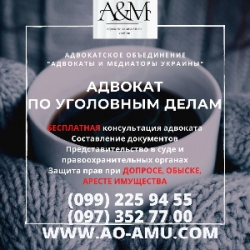 Уголовный адвокат, защита в суде, при допросе и обыске