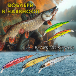 Воблери Bearking, продаж воблерів в розріб та оптом, імпортер Bearking