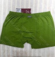 Чоловічі зелені труси боксери (арт. МШ 950110)