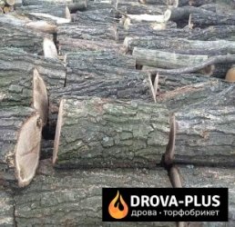 Drova-plus – дрова торфобрикет в Луцьку, Ківерцях та області