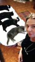Кастрация на дому в Харькове