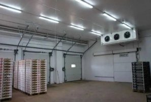 Холодильна камера Тривалого зберігання яєць (встановлення під ключ)