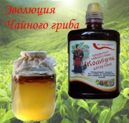 Комбуча десертний - концентрат чайного гриба, 0,5 л, 1 л