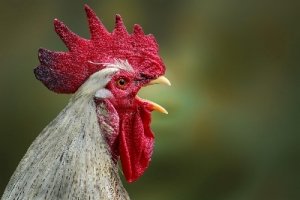 ЛГБТ Клуб Днепр Липинского 4 офис центр 3й этаж