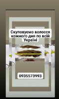 Ми придбаємо ваше натульне волосся -0935573993