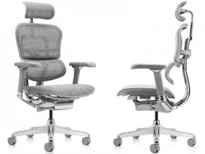 Оригинальное кресло компьютерное Ergohuman Luxury 2 Grey