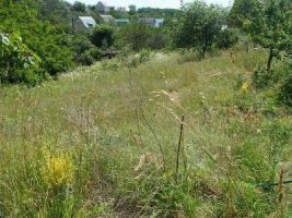 Продам ділянку 12 соток, Підгірці/Гвоздів (СТ "Вітчизна")