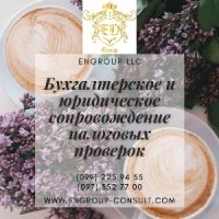 Профессиональное сопровождение налоговых проверок