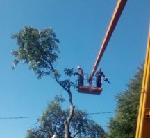 Спил дерева,демонтаж работы,земляные работы в ручную Одеса
