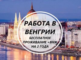 Срочный набор! Везем бесплатно c Украины по био! Работа в Венгрии! 700