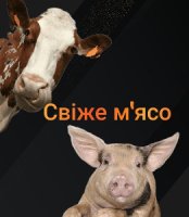 Свіже м
