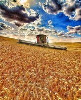 У продажу землі сільськогосподарського призначення СГ по всій Україні