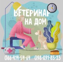 Ветеринар на дом в Харькове