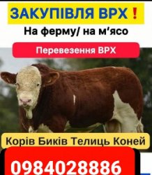Закупівля