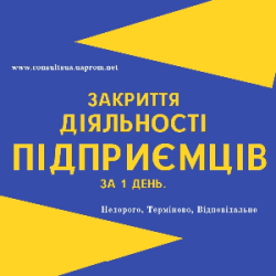 Закриття ФОП, підприємницької діяльності ( недорого ).