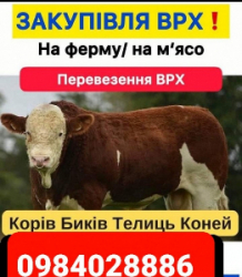 Закупівля