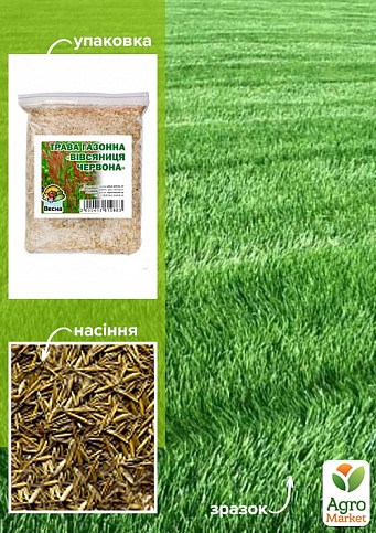 Як відновити пошкоджену траву1